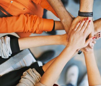Claves para captar y fidelizar talento en el sector porcino mediante mejores condiciones, formación y adaptación a nuevas generaciones.