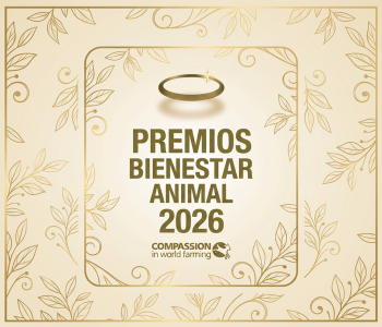 CIWF abre la inscripción a los Premios Bienestar Animal 2026, que reconocen a empresas líderes en bienestar animal y sostenibilidad.