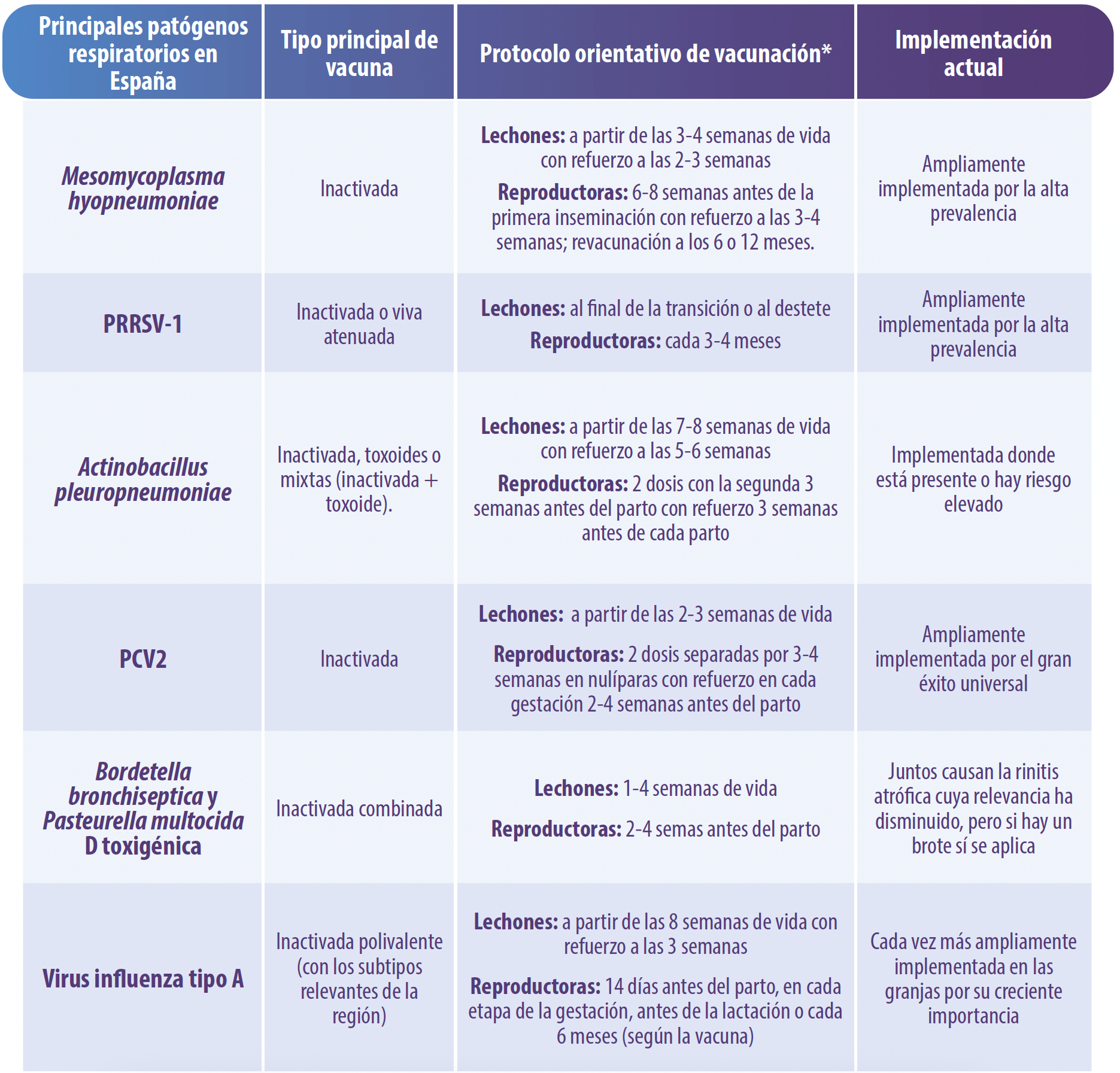 Programas-vacunales-orientativos-establecidos-España-actualidad-control-Complejo-Respiratorio-Porcino-salud-respiratoria
