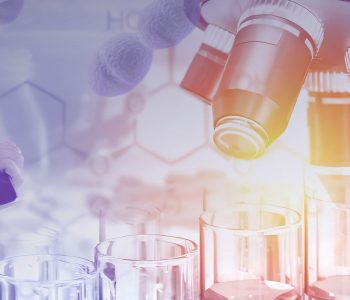 Principales lesiones macroscópicas y microscópicas causadas por Streptococcus suis y los sitios ideales de toma de muestras.
