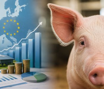 La prohibición de jaulas de parto en la UE elevaría los costos de producción porcina y requeriría millonarias inversiones en infraestructura.
