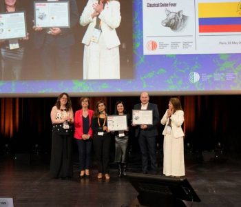 La OMSA reconoció oficialmente zonas de Bolivia y Colombia como libres de peste porcina clásica en 2026. Conocé los nuevos estatus sanitarios