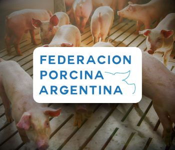 La Federación Porcina Argentina informa que el consumo de carne de cerdo en Argentina supera los 20 kg per cápita.