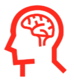 cerebro