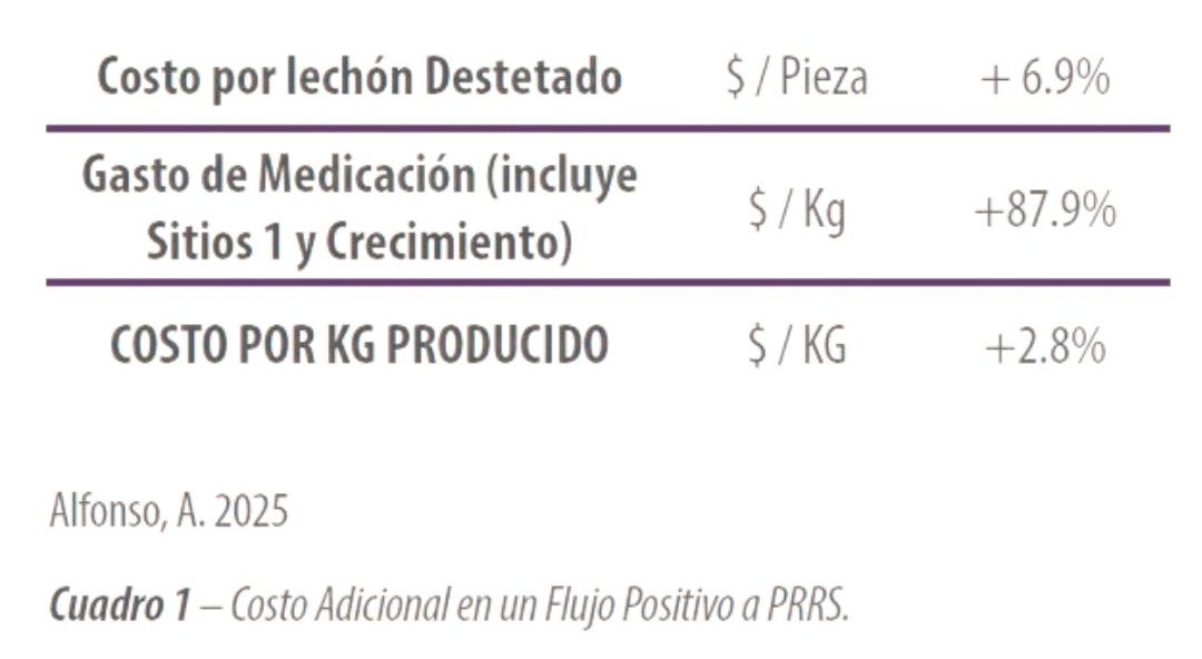 Descubre cómo implementar un proyecto de seguimiento diagnóstico en granjas de LATAM para mejorar la producción porcina