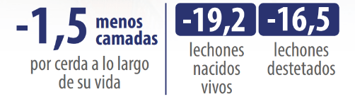 figura 1