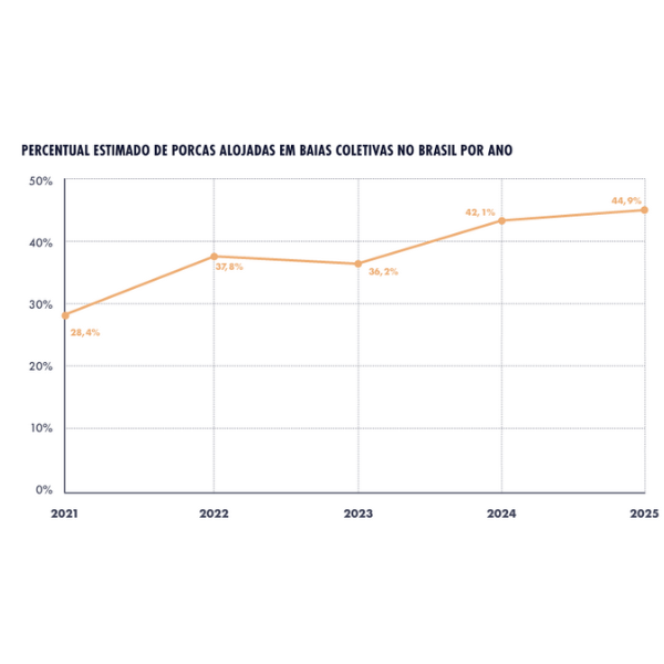 Figura 1: Percentual estimado de matrizes alojadas em baias coletivas no Brasil (2021 a 2025). Fonte: Observatório Suíno – 6ª edição (2025)