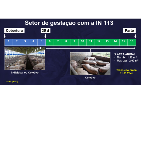 Figura 2: Setor de gestação com a Instrução Normativa Nº113