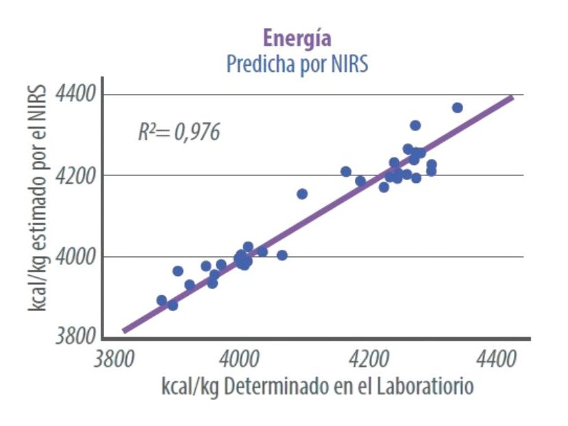 Tecnología para optimizar alimentación