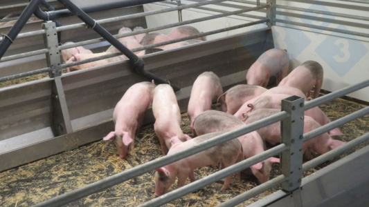 No solo debemos contemplar una producción agroalimentaria eficiente y competitiva, sino también sumar nuevos retos para que sea sostenible.