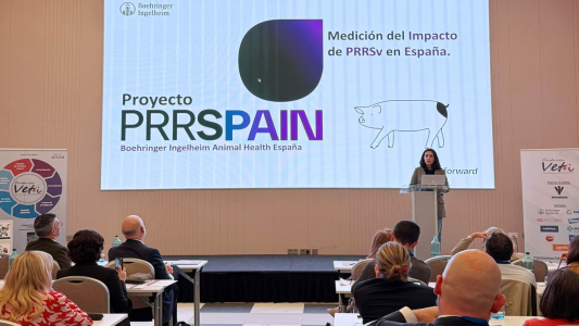 Boehringer Ingelheim participa en el VI Animal Health Innovation Day, destacando la innovación y el uso de datos en sanidad porcina.