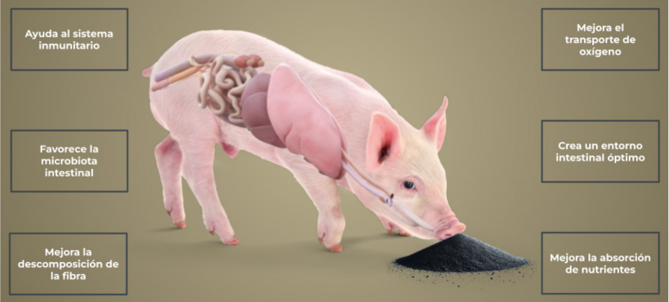 MS TerraFeed Fe