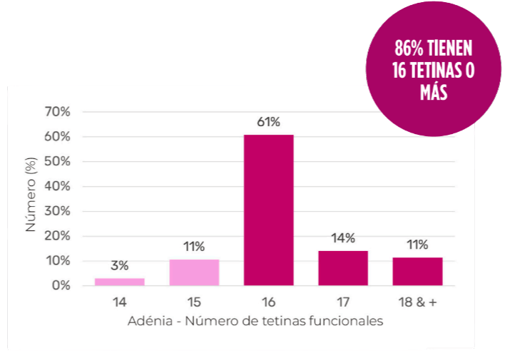 gráfica