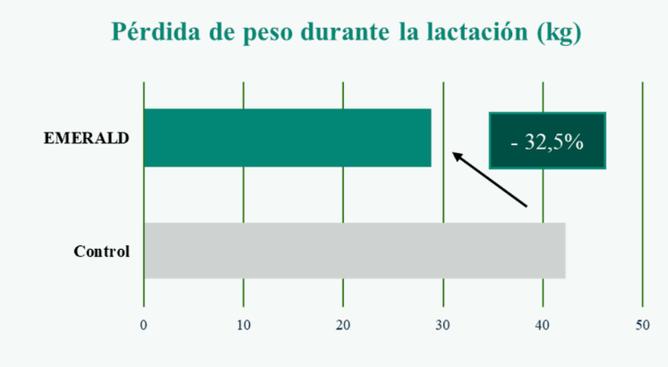 grafica