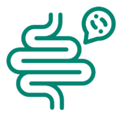 intestino 