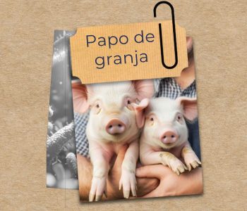 Saúde intestinal garante granja lucrativa melhora desempenho reduz doenças otimiza conversão alimentar e sustentabilidade produtiva.