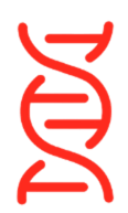 molecula 