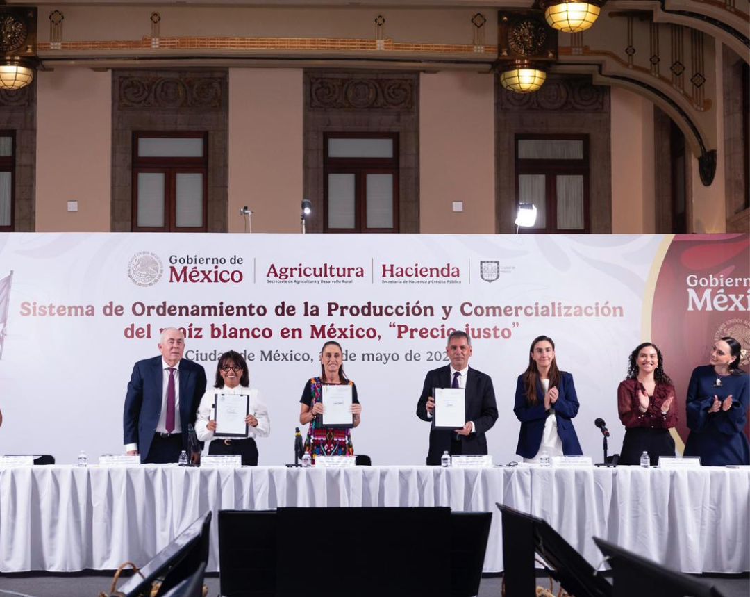 Gobierno de México lanza sistema “Precio Justo” para fortalecer producción de maíz blanco
