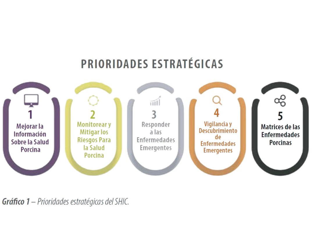 Descubre cómo implementar un proyecto de seguimiento diagnóstico en granjas de LATAM para mejorar la producción porcina