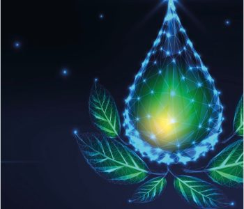 O USO DE FITOBIÓTICOS NA PRODUÇÃO DE SUÍNOS