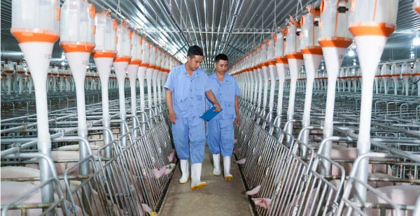 BAF Vietnam commits USD 31M to Hanoi expansion