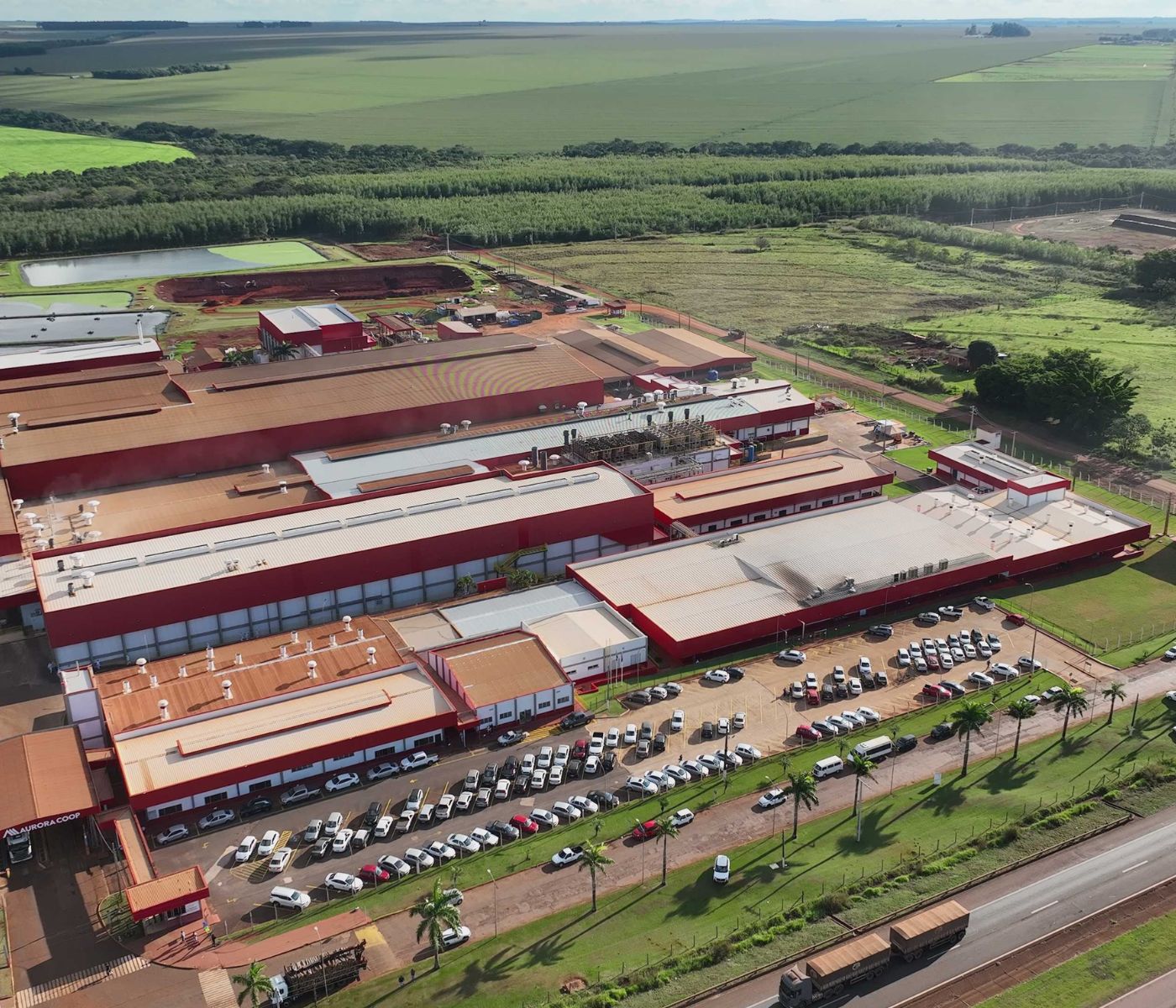 Aurora Coop conclui ampliação da indústria de suínos do MS
