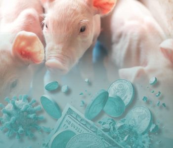 Metodología para medir las pérdidas económicas de las enfermedades en porcinos y evaluar estrategias de control o erradicación.
