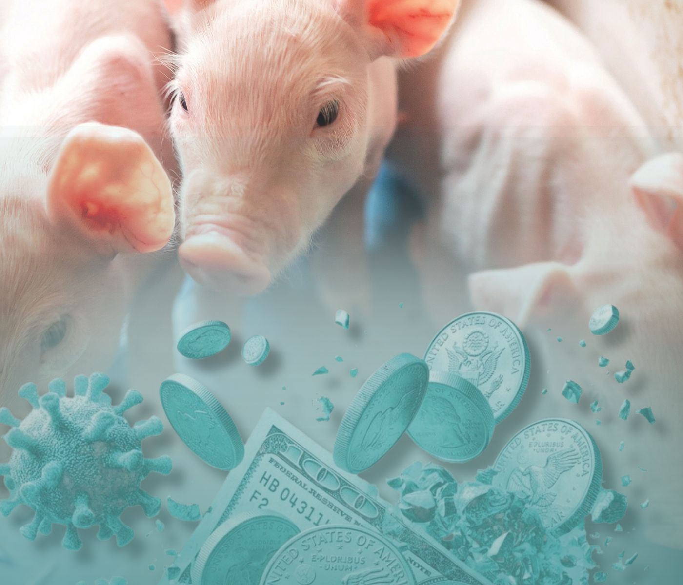 Impacto económico de las enfermedades en la producción porcina