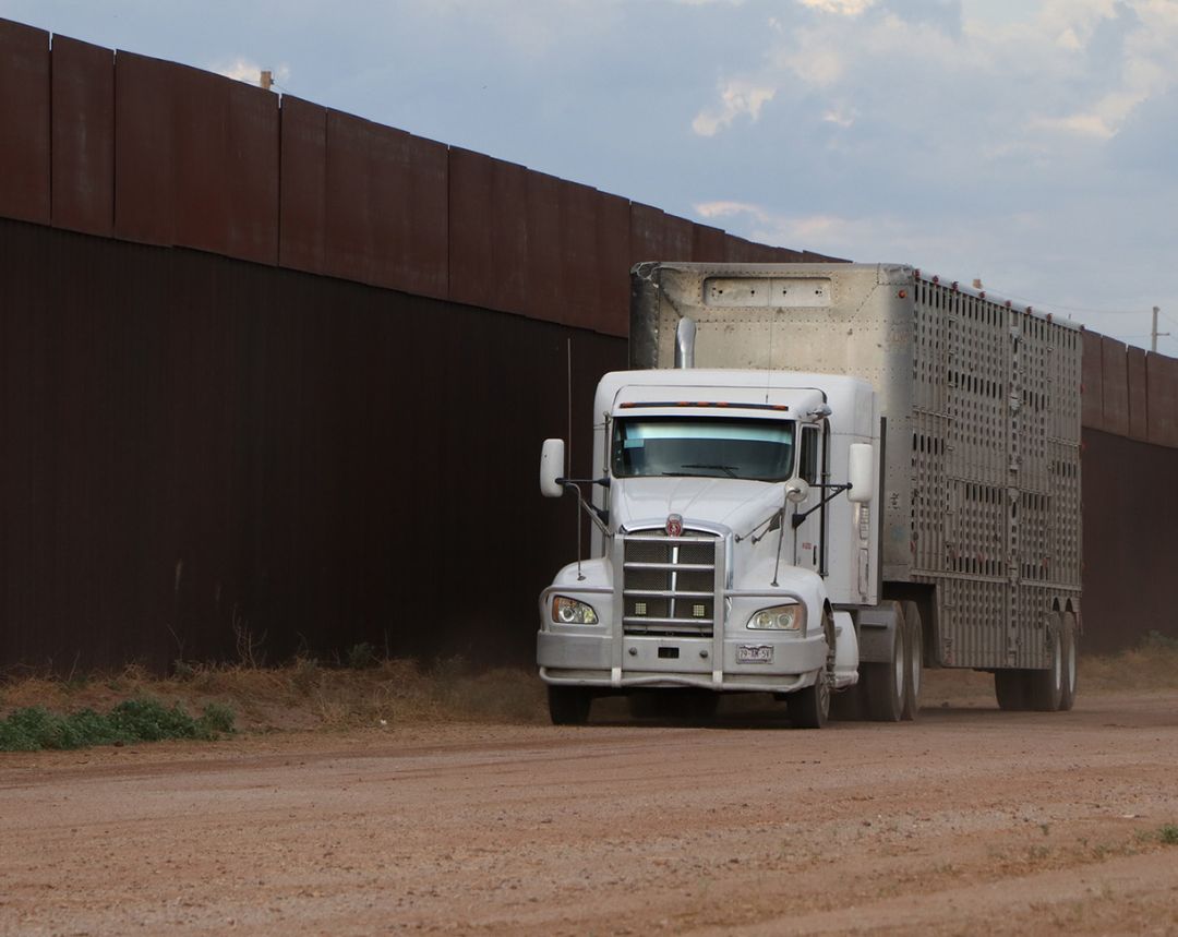 México suspende importación de animales vivos de Estados Unidos por casos de gusano barrenador