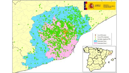 España se acerca a los 60 focos de peste porcina africana (PPA) tras detectar dos nuevos casos en Cataluña y más de 300 jabalíes positivos.