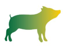 emoji cerdo