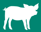 emoji cerdo 