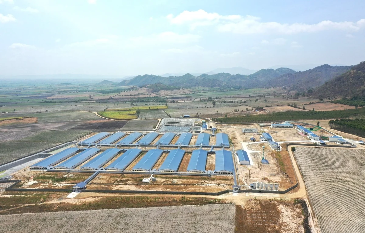 Vietnam’s Gia Lai develops 6 livestock linkage chains to promote modern production