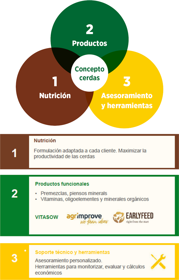 alimentación cerdas reproductoras