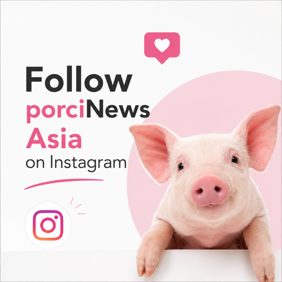 http://Instagram%20porciNews%20Asia