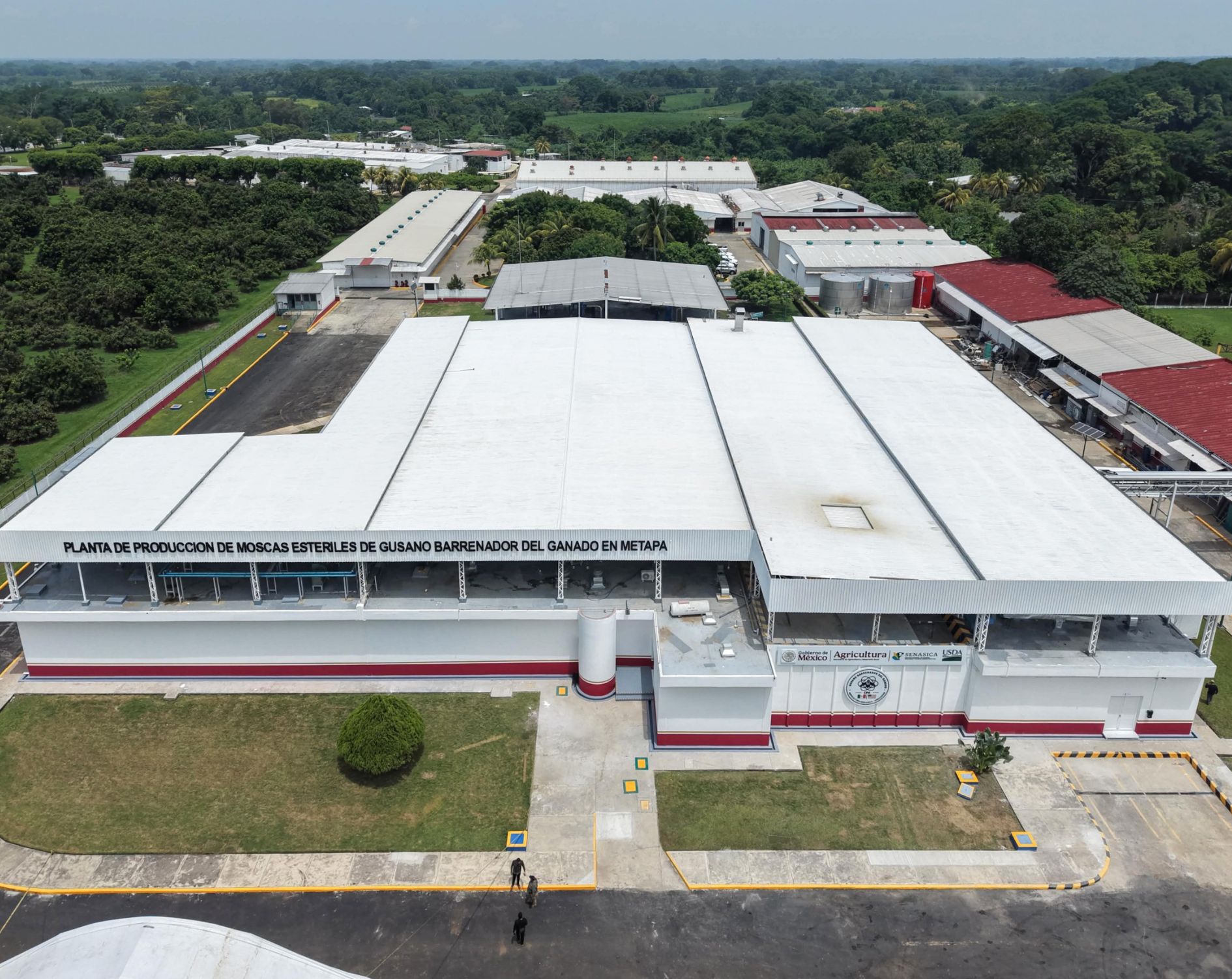 México y Estados Unidos inauguran planta de moscas estériles para reforzar el combate al gusano barrenador