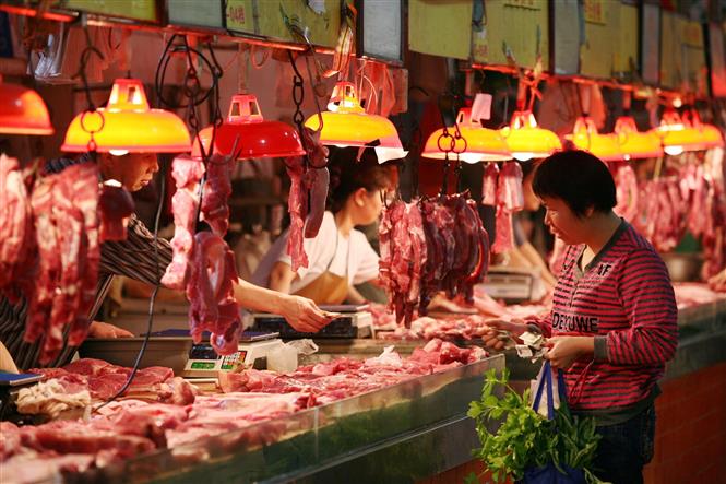 Pig farms in China are on the brink of bankruptcy as pork prices plummet