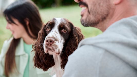 Boehringer lanza “Un momento antes” por el Día Mundial de la Zoonosis para impulsar la prevención y proteger la salud animal y humana.