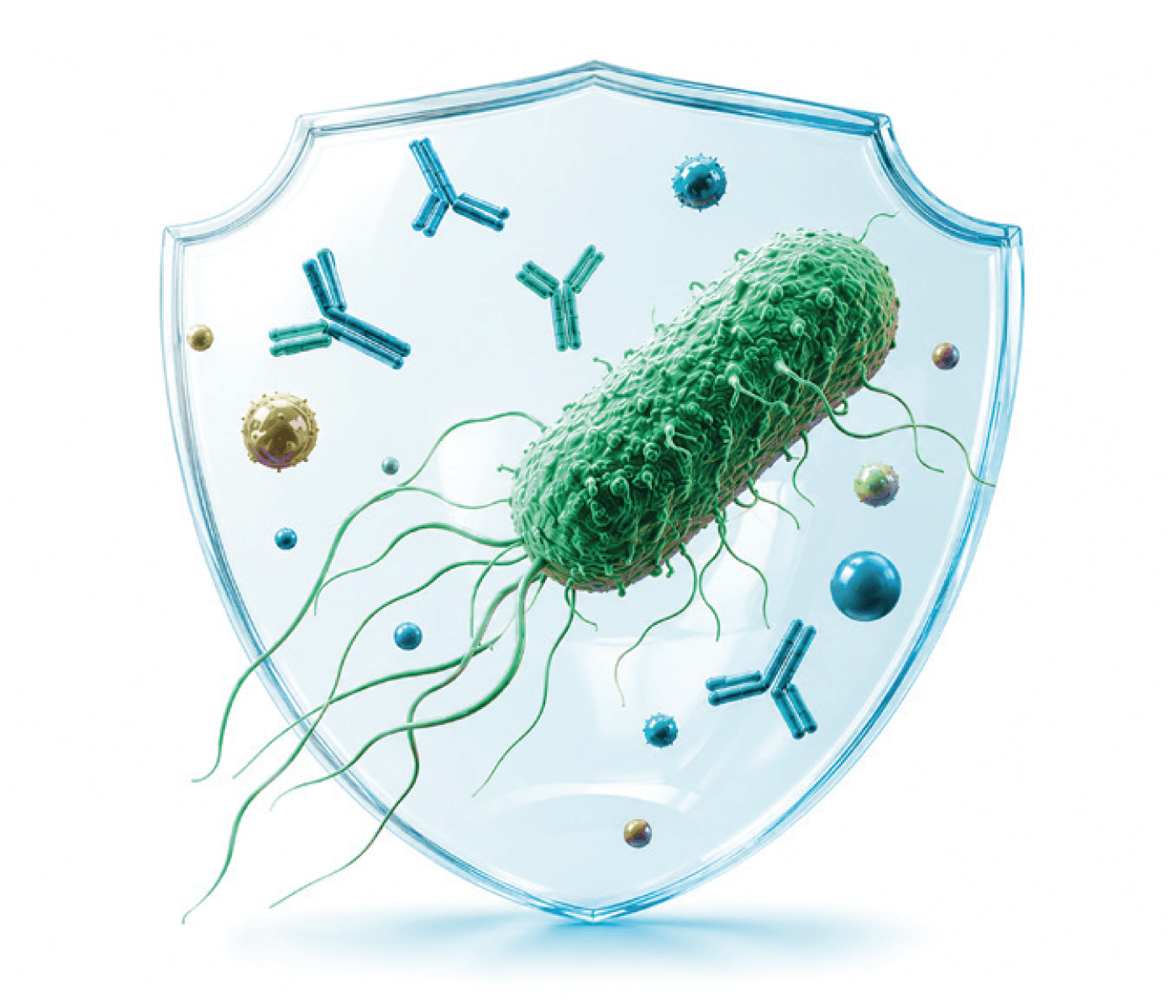 Salud intestinal y disbiosis: procedimiento de control de salmonelosis porcina