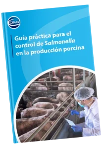 Salmonella