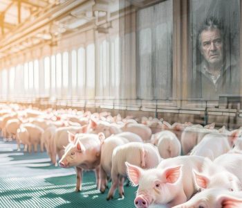 Cómo gestionar la incertidumbre en la producción porcina, reducir el estrés y mejorar la toma de decisiones ante situaciones críticas.