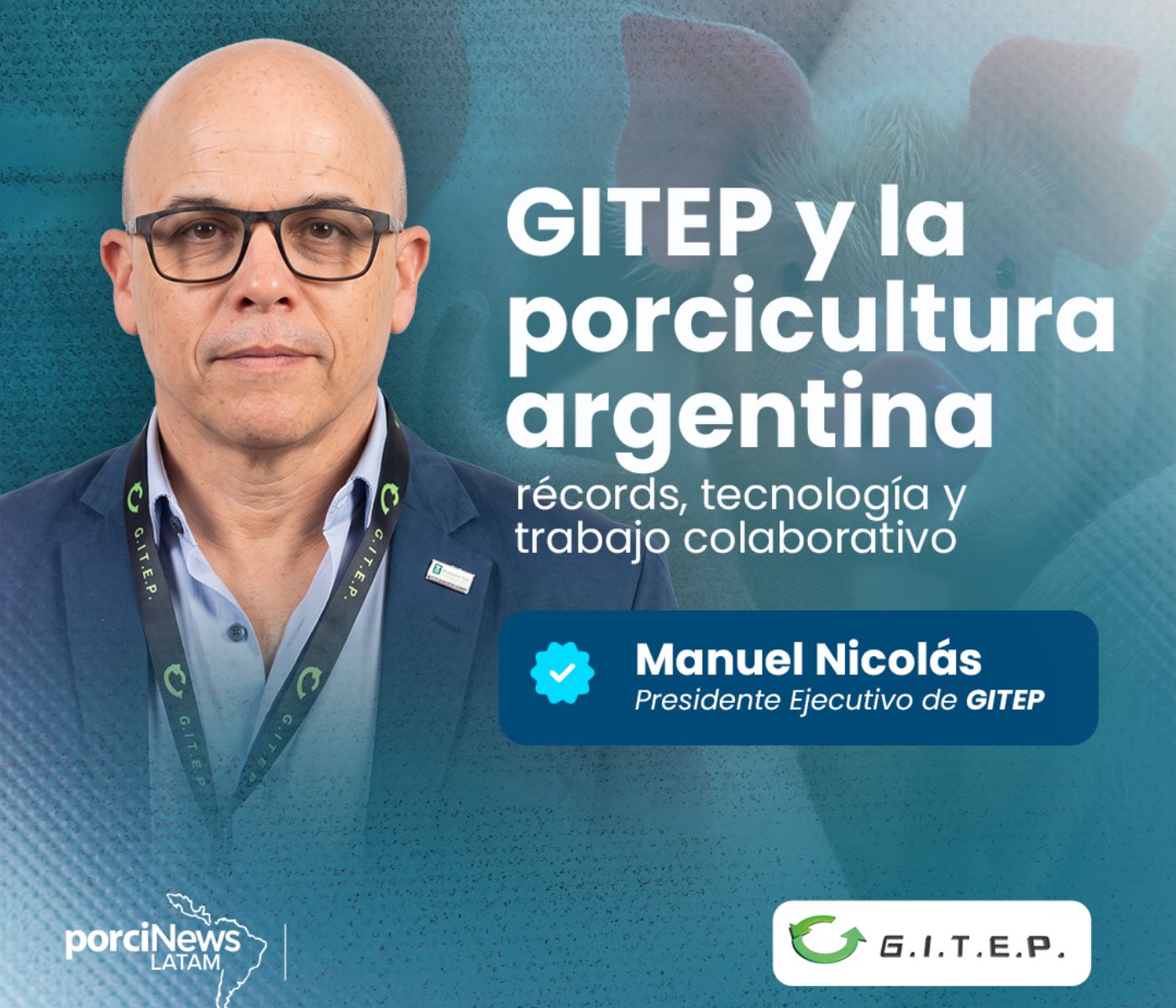 Sector porcino argentino: Manuel Nicolás analiza la profesionalización del sector tras un año récord