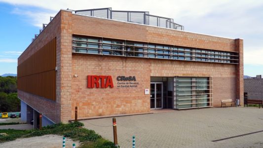 La investigación judicial abierta por el brote de PPA incorpora nuevas diligencias para determinar su origen y posibles responsabilidades.