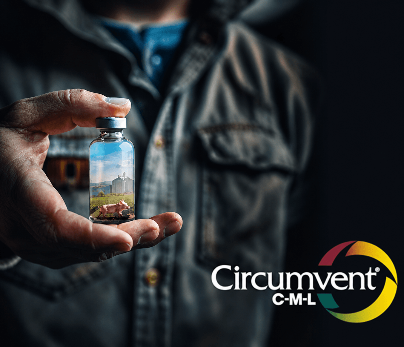 Inovação em vacinas combinadas transforma a suinocultura e traz mais...