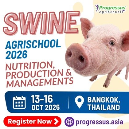 http://Prog%20Swine
