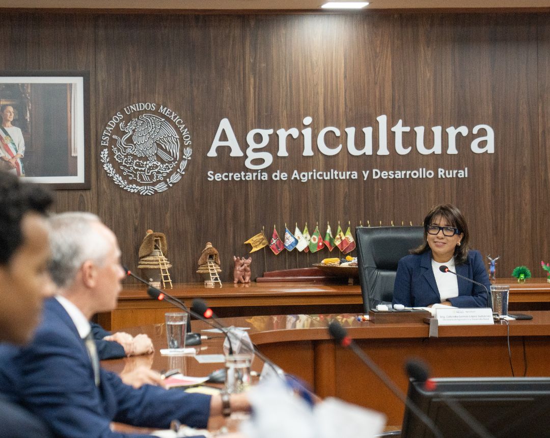 México y Estados Unidos fortalecen cooperación para acelerar el control del gusano barrenador
