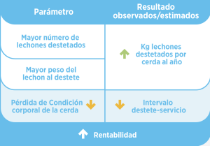 La fibra insoluble mejora la función digestiva, reduce el estreñimiento y favorece la eficiencia reproductiva de las cerdas.