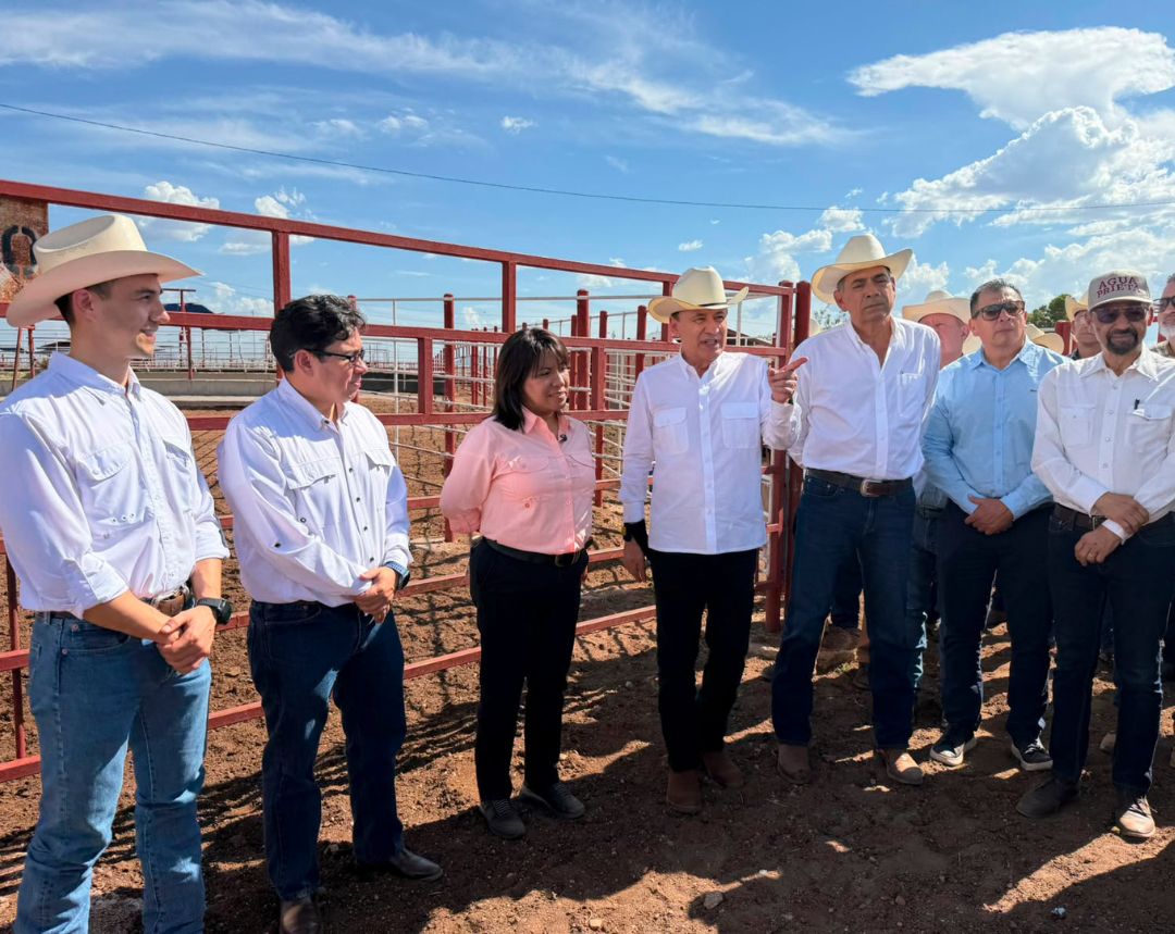 México reanuda la exportación de ganado a Estados Unidos desde Sonora