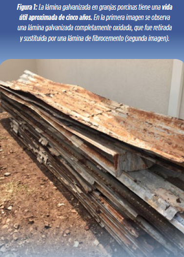 Techos para granjas porcinas: conocé los tipos disponibles, sus ventajas y cómo influyen en el confort animal, la producción y el ROI.