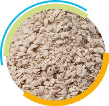 La fibra insoluble mejora la función digestiva, reduce el estreñimiento y favorece la eficiencia reproductiva de las cerdas.